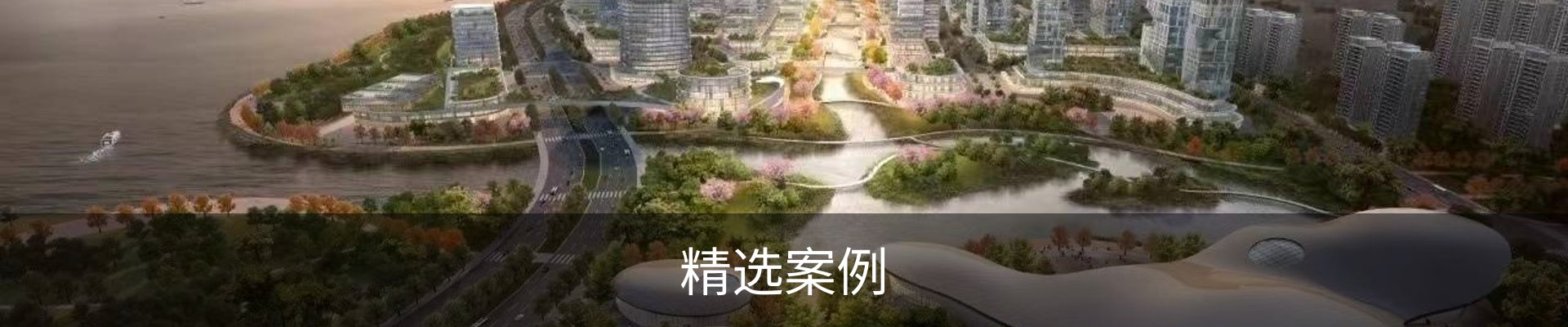 精选案例